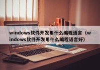 windows软件开发用什么编程语言（windows软件开发用什么编程语言好）
