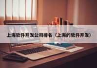 上海软件开发公司排名（上海的软件开发）