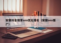 安徽抖音搜索seo优化排名（安徽seo推广）