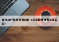 北京软件软件开发公司（北京软件开发有限公司）